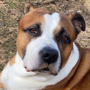 Meet your Posher, Hayward